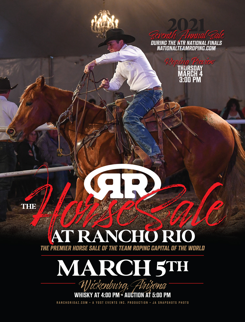 Arizona Horses for Sale Rancho Rio Horse Auction